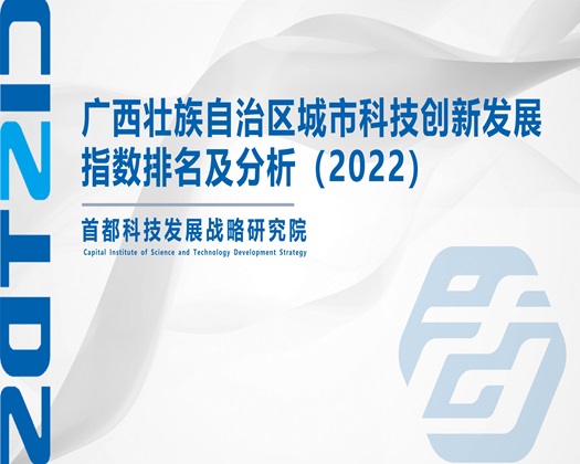 操鸡巴麻豆视频【成果发布】广西壮族自治区城市科技创新发展指数排名及分析（2022）